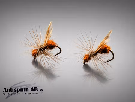 Flying Ant Brown #14