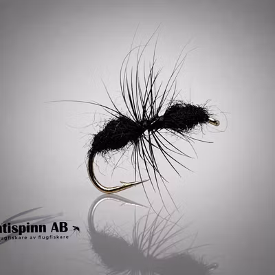 Ant Black #14