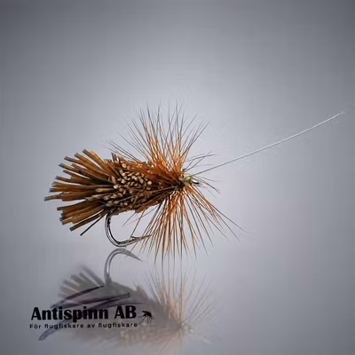 Goddard Caddis #14