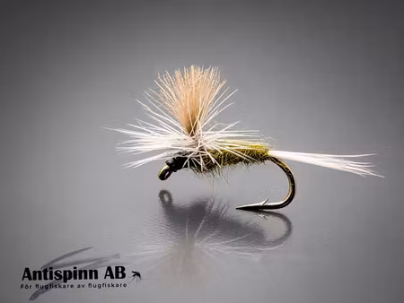 Baetis Olive #16
