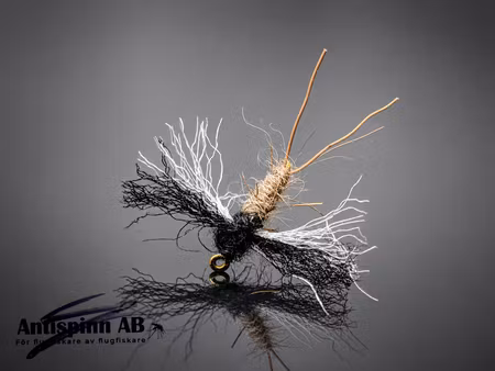 Brown Spent Spinner #14