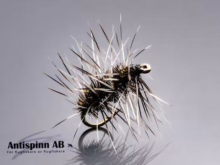 Griffith Gnat