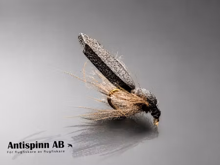 Black Beadle CDC #16