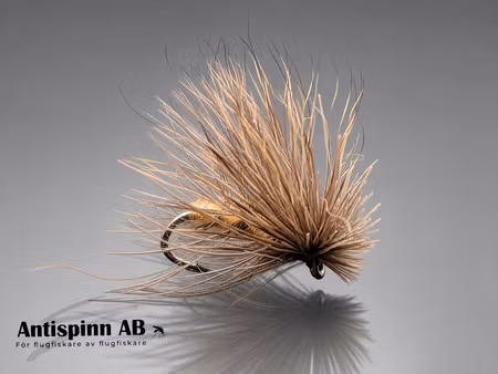 Cdc and Elk Tan #14