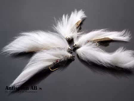Zonker White Lion #8