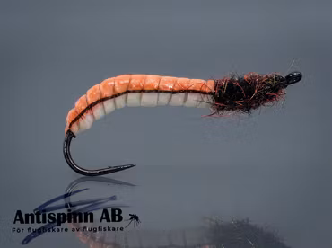 Rhyacophilia Lava Light Brown #10
