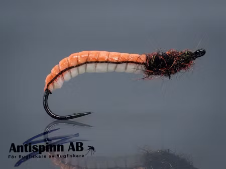 Rhyacophilia Lava Light Brown #10