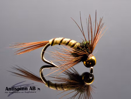 BH-PL-Yellow Rib #14