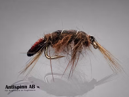 Scud Brown #14