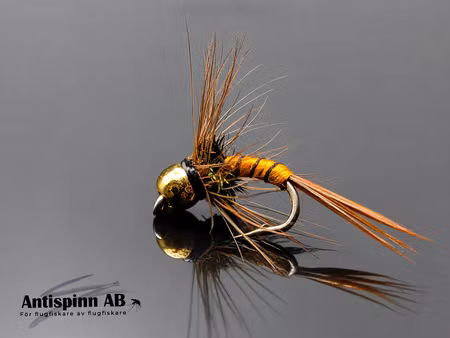 BH-Rinned-Orange-Nymph #14