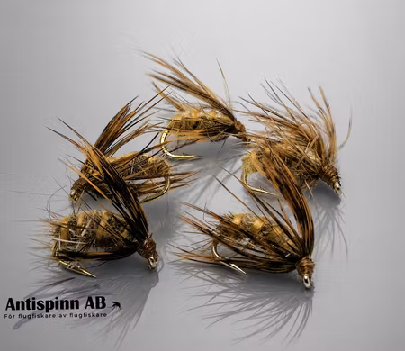 Dark Brown pupa #12
