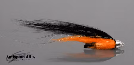 Black&Orange Conehead