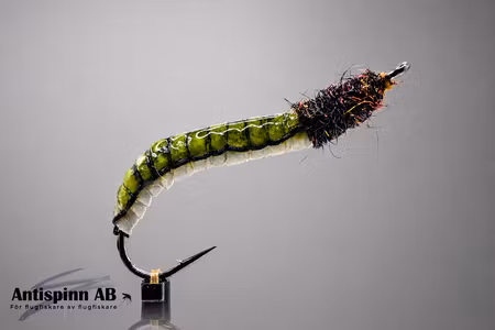 Rhyacophilia Lava Olive #10