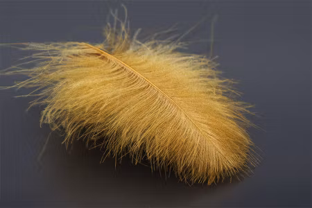 Troutline Size Selected CDC Feathers 3-4cm