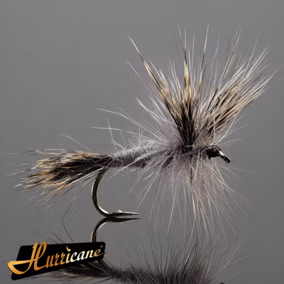 Gray Wulff #10