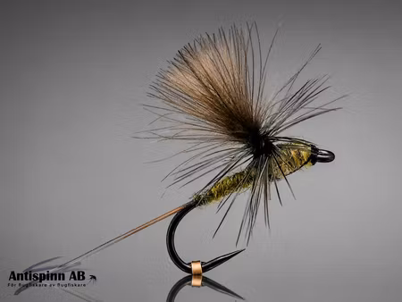 Dagslända Dun Olive