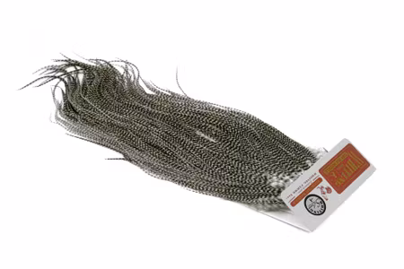 Whiting Silver Saddle Dun Grizzly