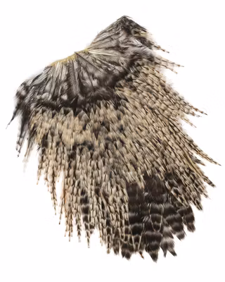 Indian Rooster Saddle