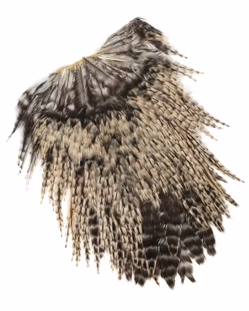 Indian Rooster Saddle