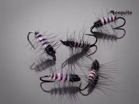 Superpuppa Black/Pink #16