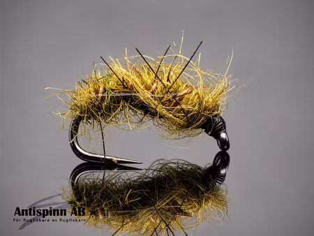 Nattsländepuppa Golden Olive #14