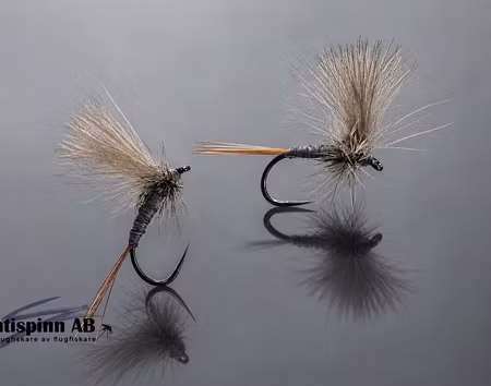 Cdc Dun Blue Dun Mayfly  #16