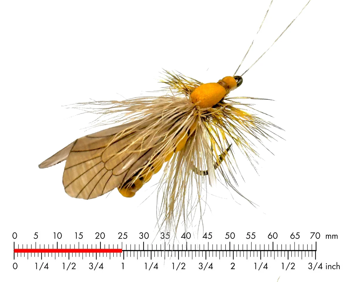 Caddis Adult 1 Brown #12 J:son