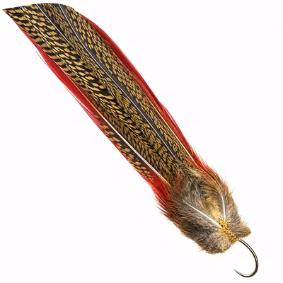 Golden Pheasant Complete Tail Veniard