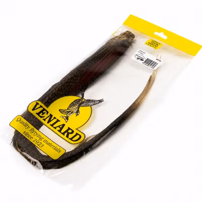 Golden Pheasant Complete Tail Veniard