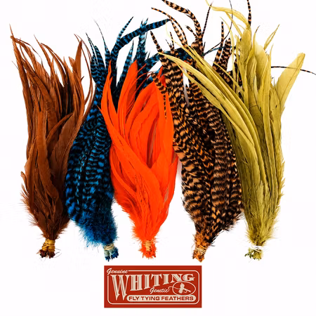 Whiting Schlappen 6 plus