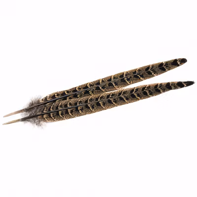 Pheasant Hen (Ringneck) Center Tails Veniard