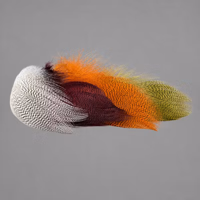 Premium Mallard Barred Feathers