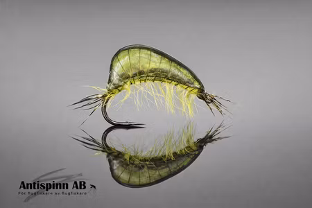 Scud Olive