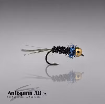 Black and UV Blue Nymph Tungsten #16
