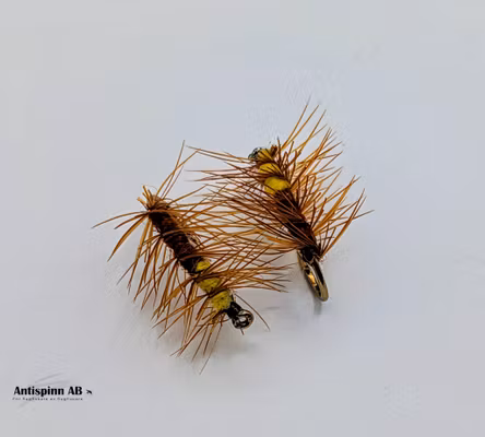 Superpuppa Yellow/Brown #14