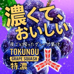 Mitsuya Rich Grape Squash Soda Drink 500ml Pet