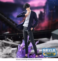 Solo Leveling Xross Link Sung Jinwoo