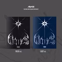 All(H)Ours - Witness (Photobook)