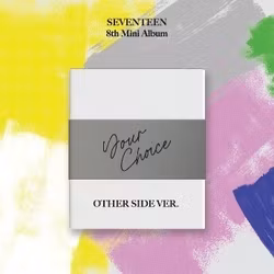 Seventeen - Your Choice