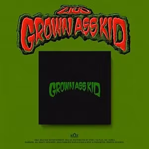 Zico - Grown Ass Kid
