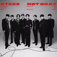 Ateez - Not Okay (Photobook, Limited Edition)