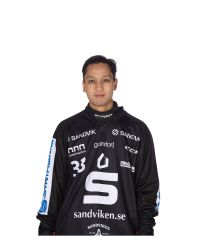 Joel Engström Matchtröja #33