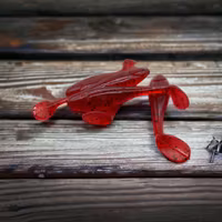 Bleaky Slim - Bloodworm (5pack)