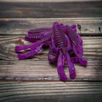 Knuckle Dragger  PIG Purple-Sunrise (6Pack)