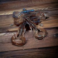 Nemo Craw  Wakasagi (6Pack)