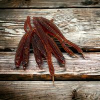 Rib Leech  Midnight oil (8pack)