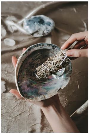 Abalone-skal