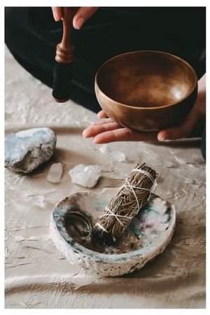 Abalone-skal