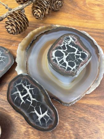 Septarian (Draksten)