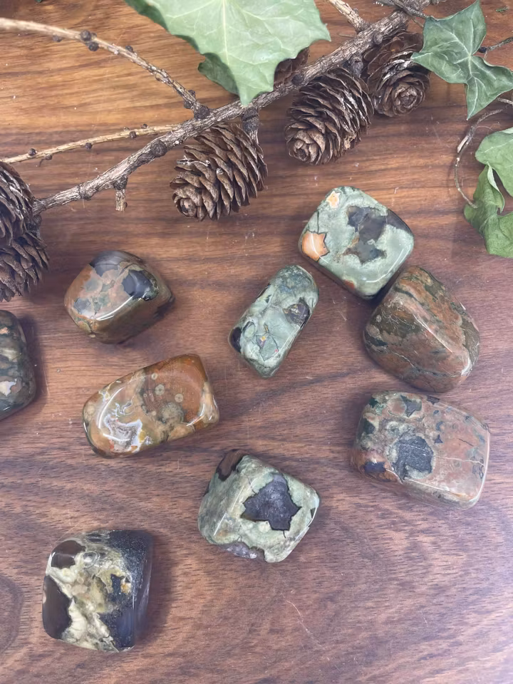 Trumlad Regnskogs jaspis